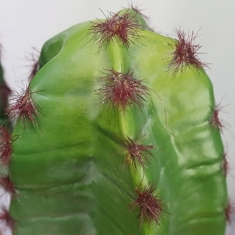 77cm-Three-Headed-Plantas-Cactus-Y-Suculentas-Columnar-Cactus-for-Cheap-Artificial-Greenery (3).jpg 